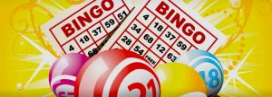 hoe werkt bingo online